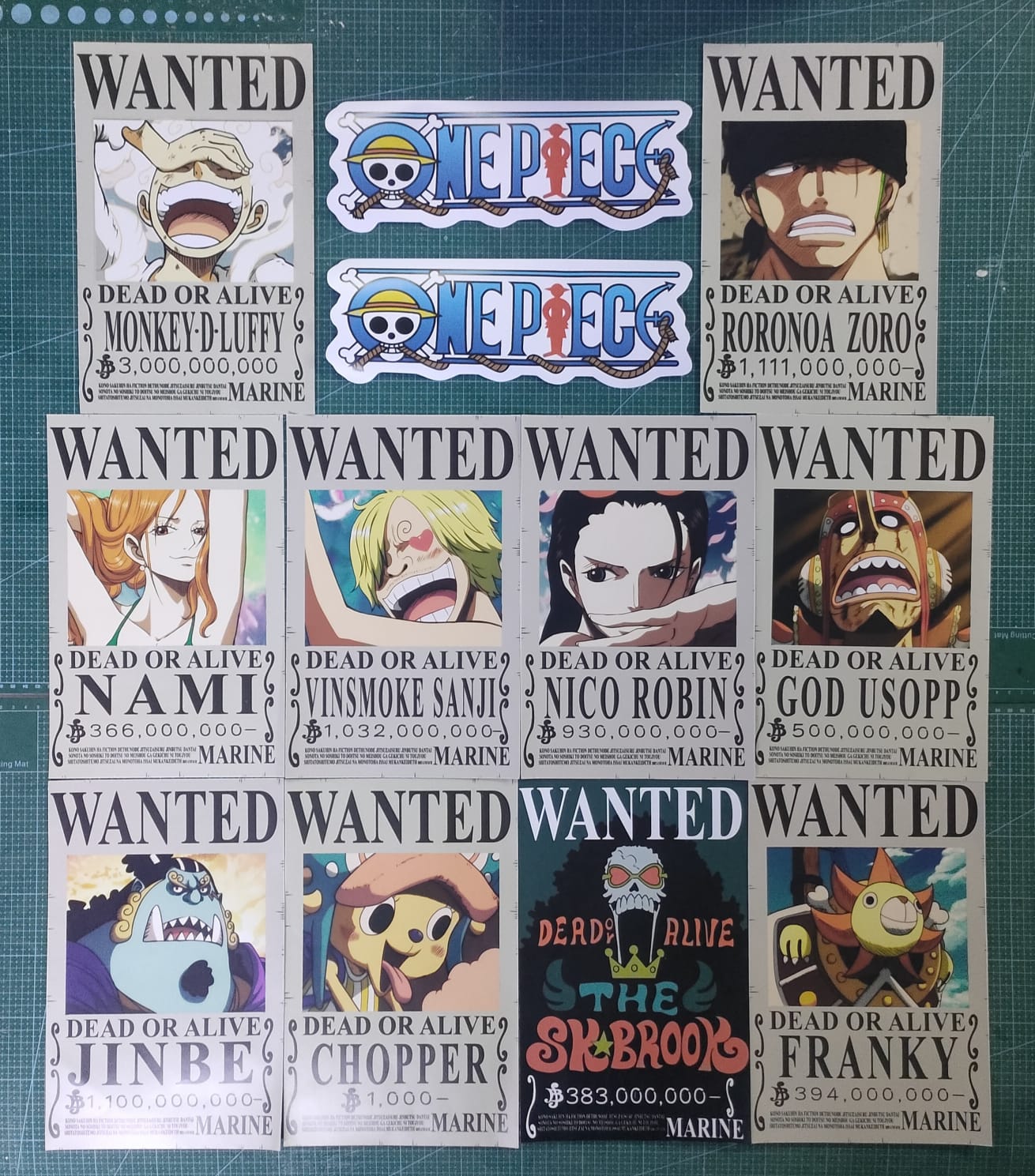 One Piece Wanted Posters