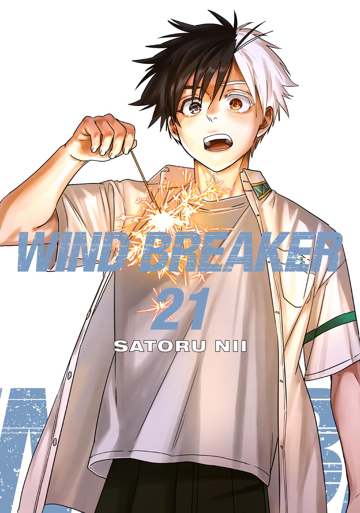 Wind Breaker
