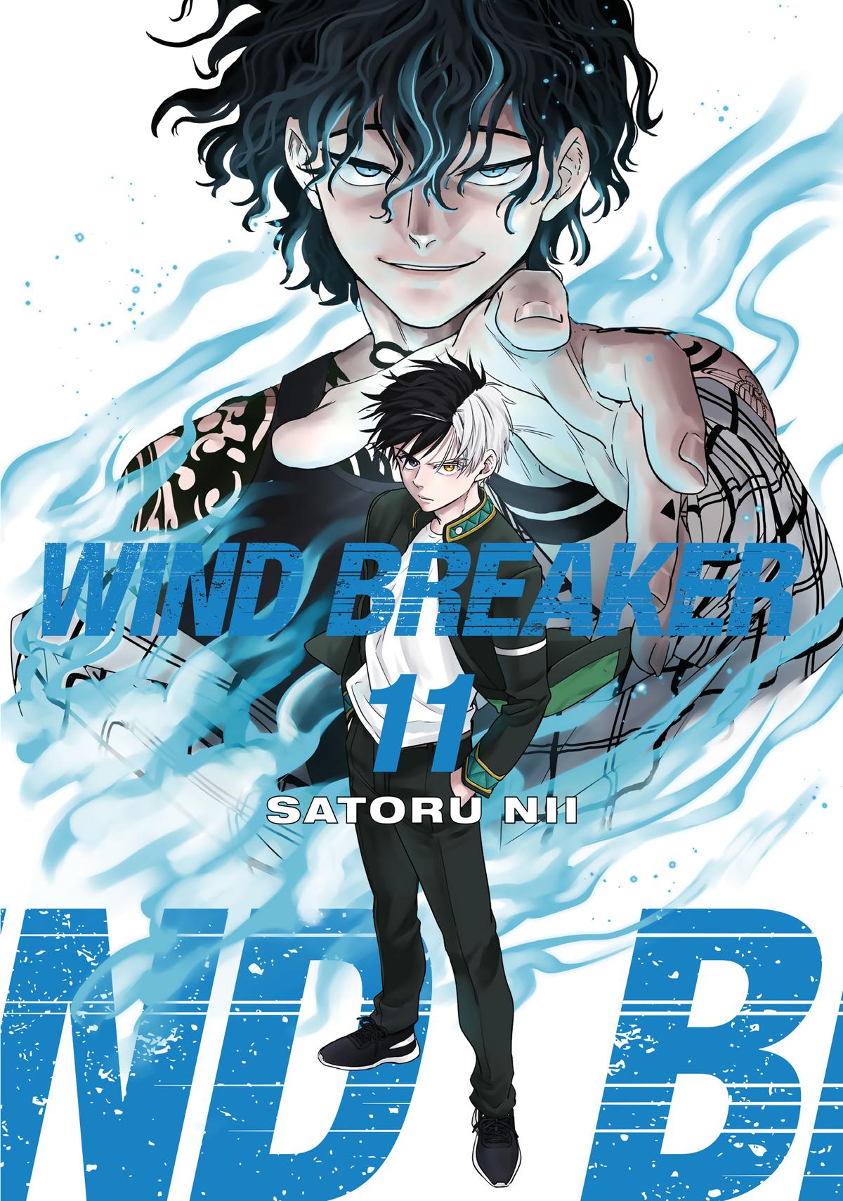 Wind Breaker