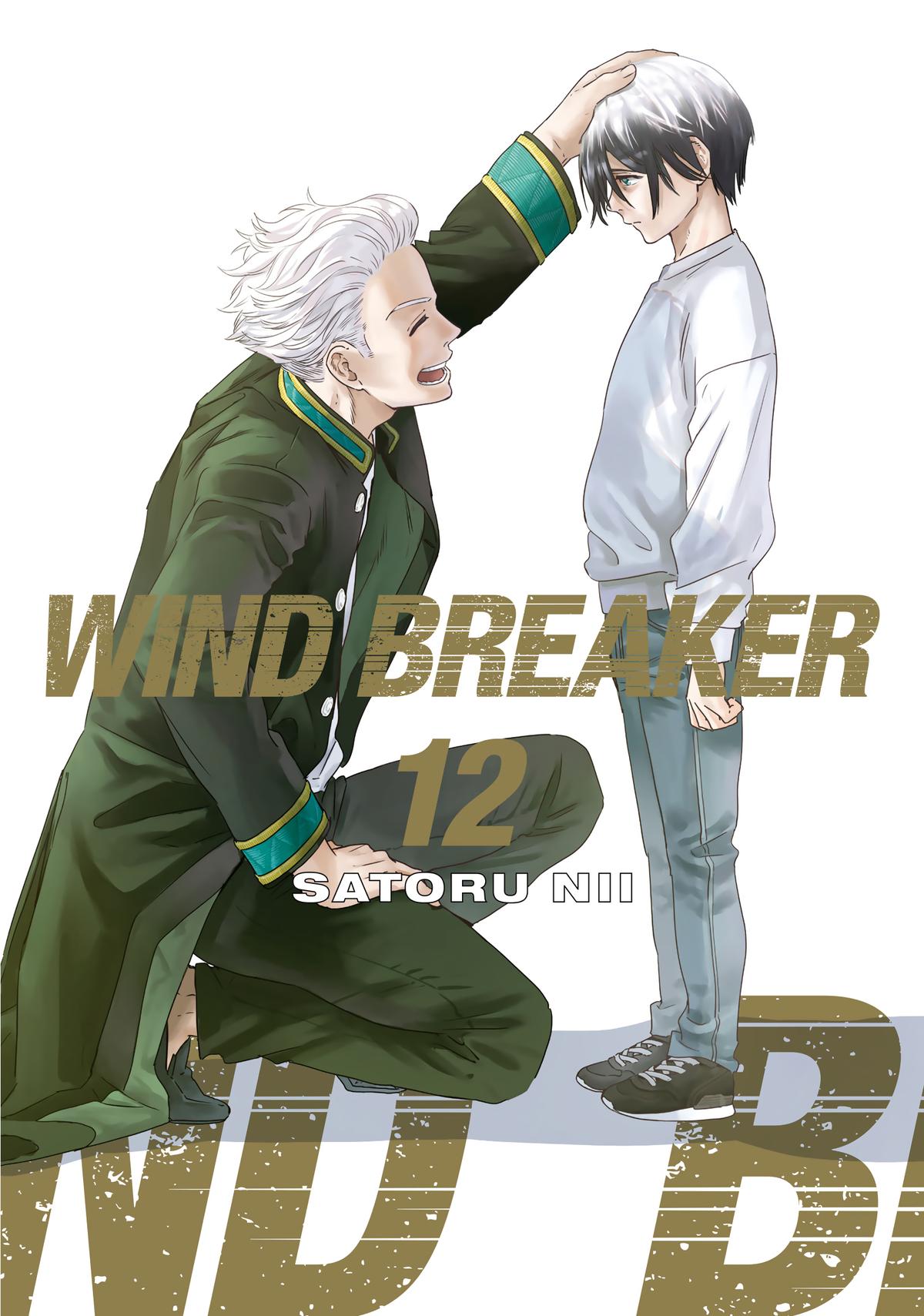 Wind Breaker