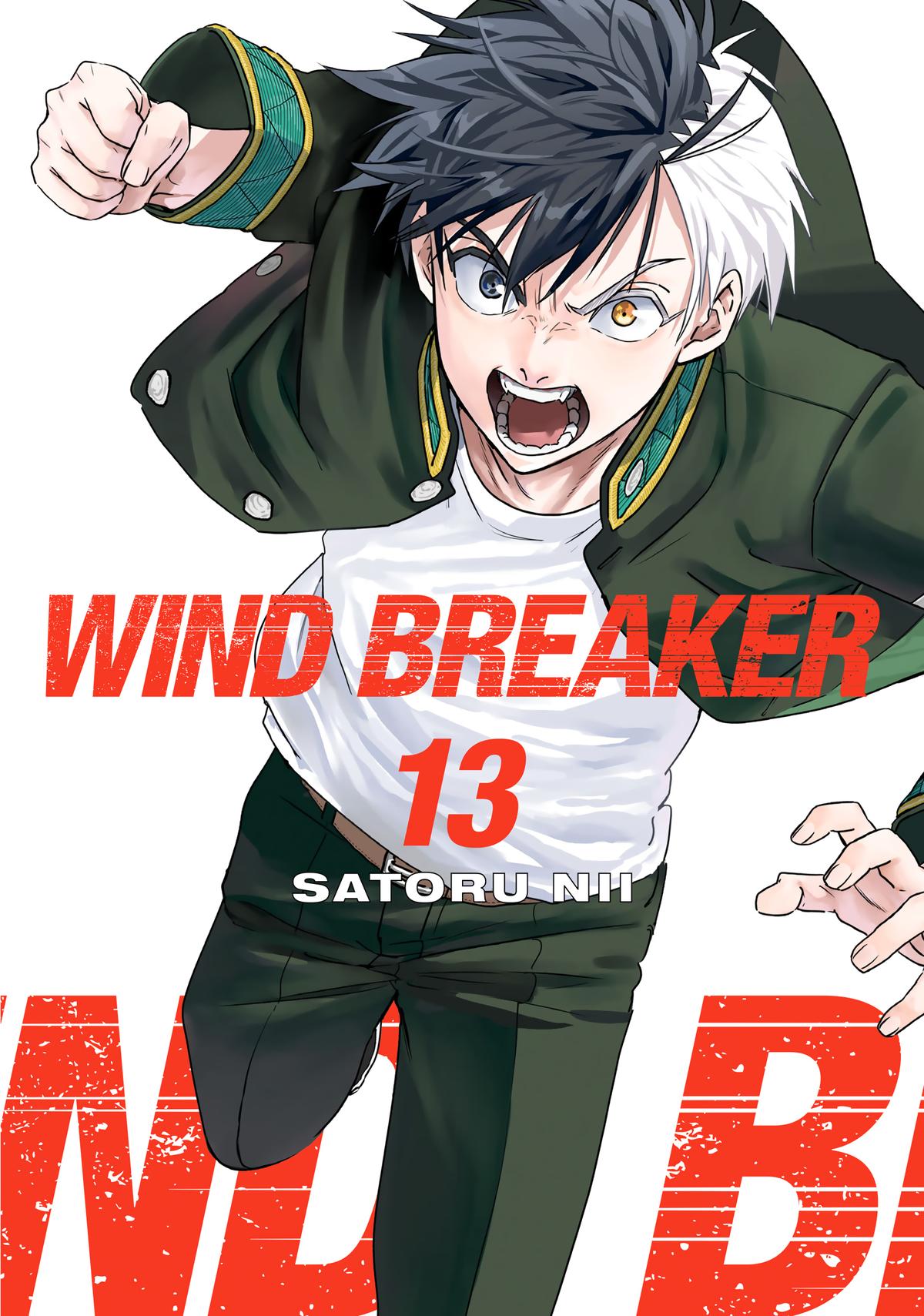 Wind Breaker