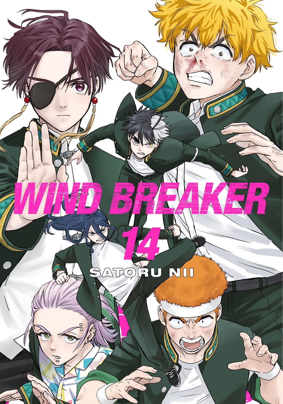Wind Breaker