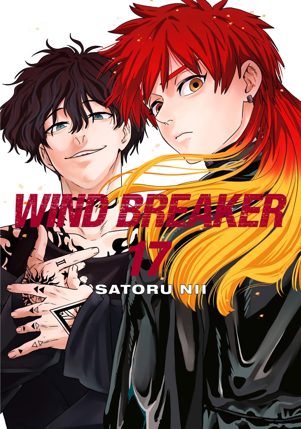 Wind Breaker